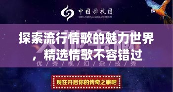 探索流行情歌的魅力世界，精選情歌不容錯過