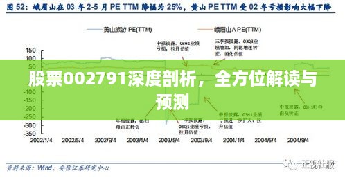 股票002791深度剖析，全方位解讀與預測