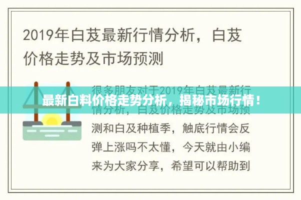 最新白料價格走勢分析，揭秘市場行情！