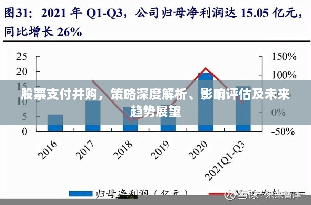 股票支付并購，策略深度解析、影響評估及未來趨勢展望