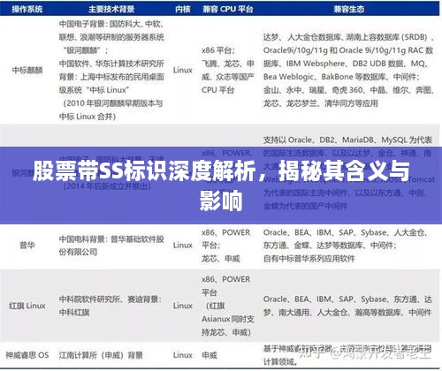 股票帶SS標(biāo)識深度解析，揭秘其含義與影響