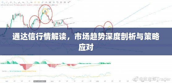 通達信行情解讀，市場趨勢深度剖析與策略應(yīng)對