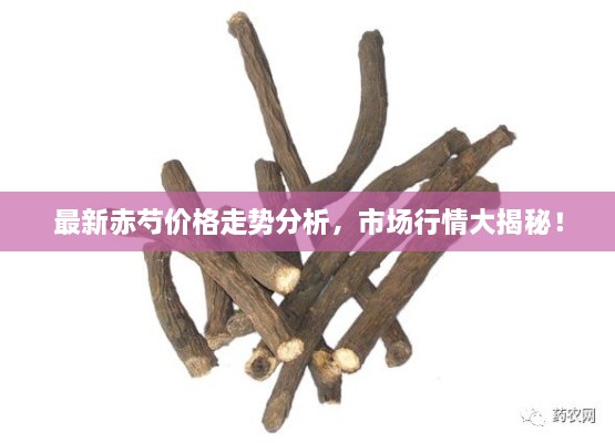 最新赤芍價(jià)格走勢(shì)分析，市場(chǎng)行情大揭秘！