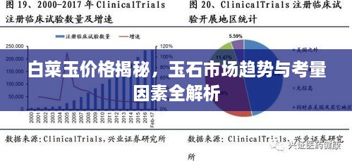 白菜玉價格揭秘，玉石市場趨勢與考量因素全解析