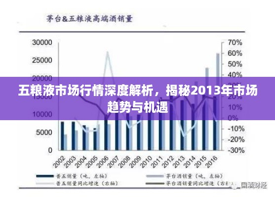 五糧液市場(chǎng)行情深度解析，揭秘2013年市場(chǎng)趨勢(shì)與機(jī)遇