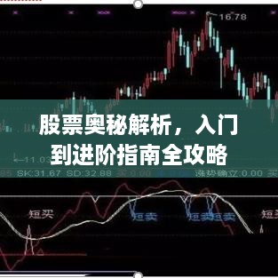 股票奧秘解析，入門到進(jìn)階指南全攻略