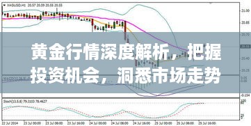 黃金行情深度解析，把握投資機會，洞悉市場走勢