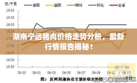 湖南寧遠豬肉價格走勢分析，最新行情報告揭秘！