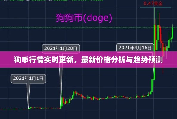 狗幣行情實(shí)時(shí)更新，最新價(jià)格分析與趨勢(shì)預(yù)測(cè)