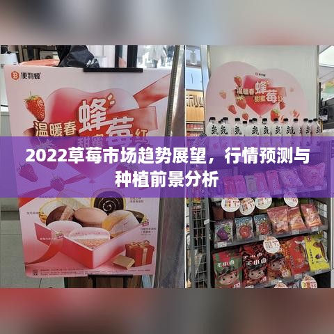 2022草莓市場(chǎng)趨勢(shì)展望，行情預(yù)測(cè)與種植前景分析