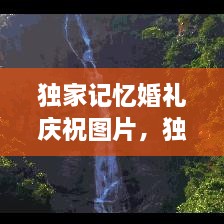 獨(dú)家記憶婚禮慶祝圖片，獨(dú)家記憶圖片唯美 