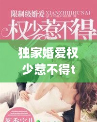 獨家婚愛權少惹不得txt下載，獨家婚寵免費閱讀全文 