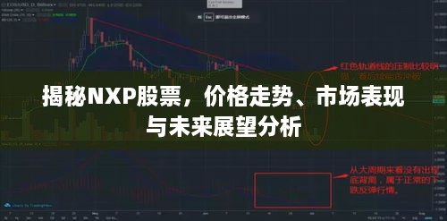 揭秘NXP股票，價格走勢、市場表現(xiàn)與未來展望分析