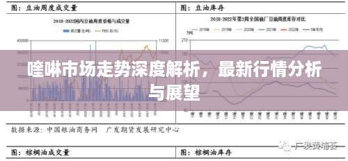 喹啉市場(chǎng)走勢(shì)深度解析，最新行情分析與展望