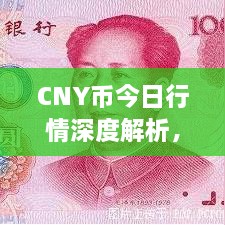 CNY幣今日行情深度解析，最新價格動態(tài)一網(wǎng)打盡！