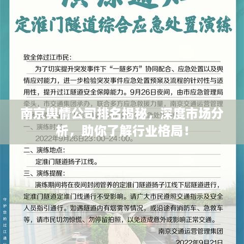 南京輿情公司排名揭秘，深度市場分析，助你了解行業(yè)格局！