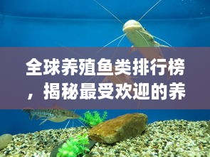 全球養(yǎng)殖魚類排行榜，揭秘最受歡迎的養(yǎng)殖魚類種類！