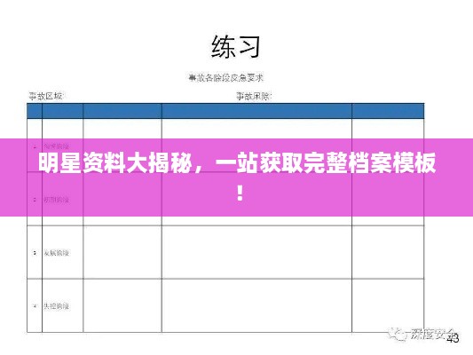 明星資料大揭秘，一站獲取完整檔案模板！