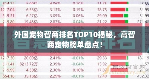 外國(guó)寵物智商排名TOP10揭秘，高智商寵物榜單盤(pán)點(diǎn)！