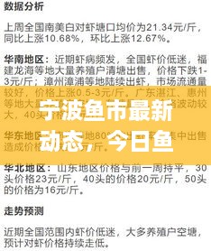 寧波魚市最新動態(tài)，今日魚價、市場走勢及影響因素全解析