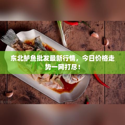 東北鱸魚批發(fā)最新行情，今日價格走勢一網(wǎng)打盡！