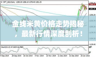 金線米黃價(jià)格走勢(shì)揭秘，最新行情深度剖析！