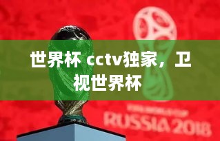 世界杯 cctv獨(dú)家，衛(wèi)視世界杯 