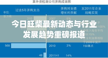 今日旺柴最新動(dòng)態(tài)與行業(yè)發(fā)展趨勢重磅報(bào)道