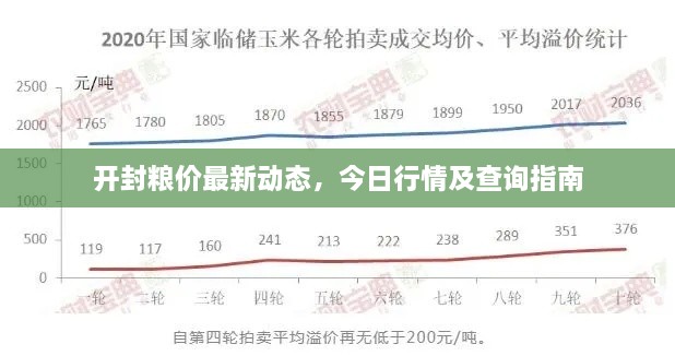 開封糧價最新動態(tài)，今日行情及查詢指南