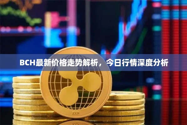 BCH最新價(jià)格走勢解析，今日行情深度分析