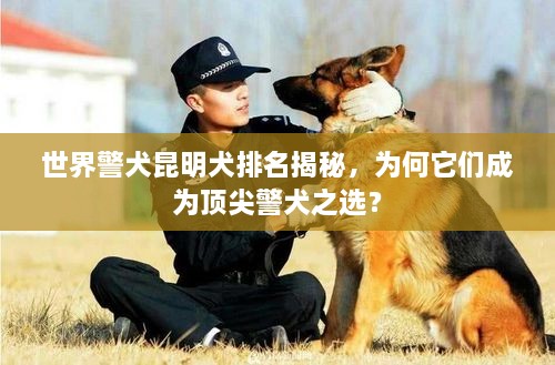 世界警犬昆明犬排名揭秘，為何它們成為頂尖警犬之選？