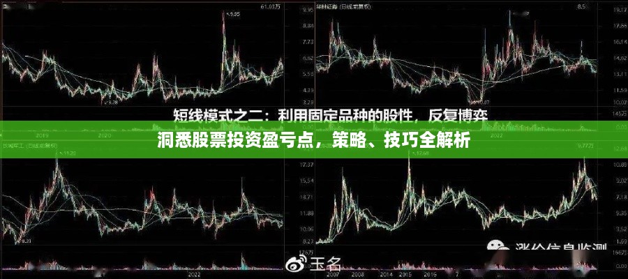 洞悉股票投資盈虧點，策略、技巧全解析