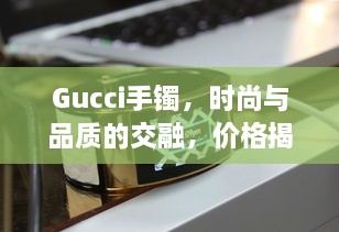 Gucci手鐲，時(shí)尚與品質(zhì)的交融，價(jià)格揭秘！