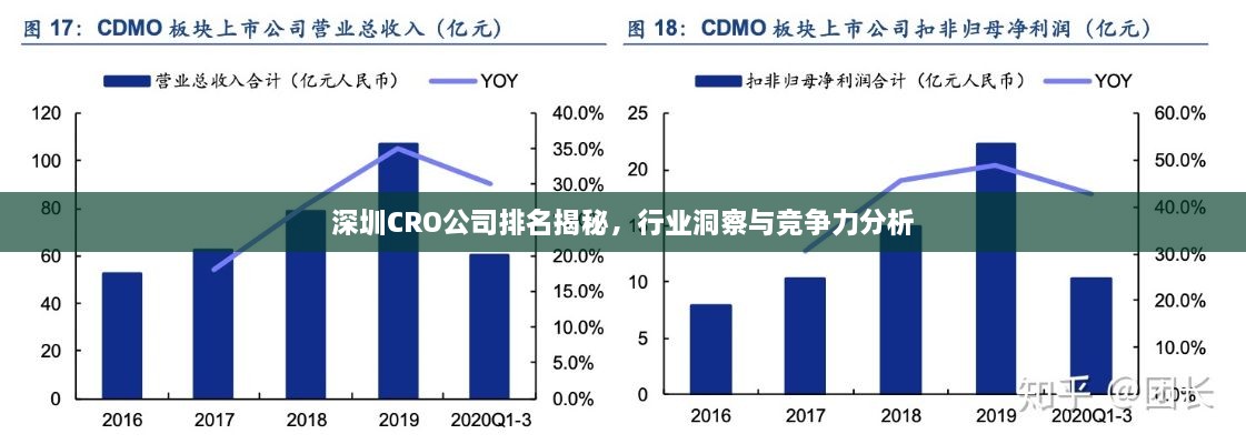 深圳CRO公司排名揭秘，行業(yè)洞察與競爭力分析