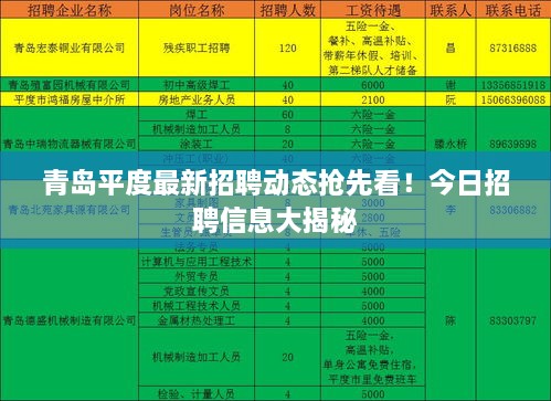 青島平度最新招聘動態(tài)搶先看！今日招聘信息大揭秘