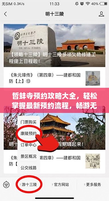 哲蚌寺預(yù)約攻略大全，輕松掌握最新預(yù)約流程，暢游無阻！