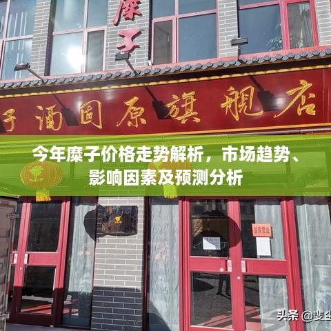 今年糜子價格走勢解析，市場趨勢、影響因素及預(yù)測分析