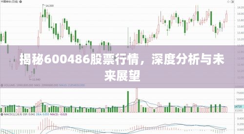 揭秘600486股票行情，深度分析與未來(lái)展望