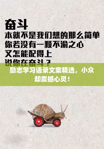 勵志學習語錄文案精選，小眾卻震撼心靈！