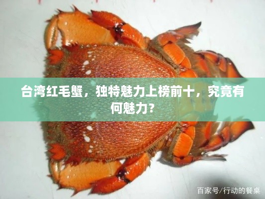 臺(tái)灣紅毛蟹，獨(dú)特魅力上榜前十，究竟有何魅力？