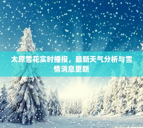 太原雪花實(shí)時(shí)播報(bào)，最新天氣分析與雪情消息更新