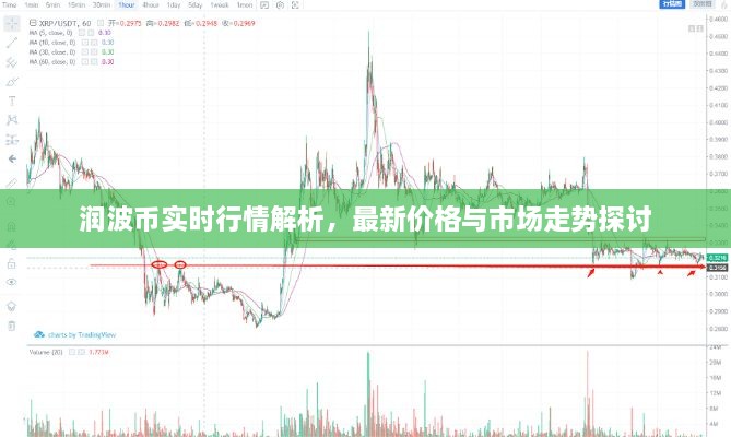 潤波幣實時行情解析，最新價格與市場走勢探討