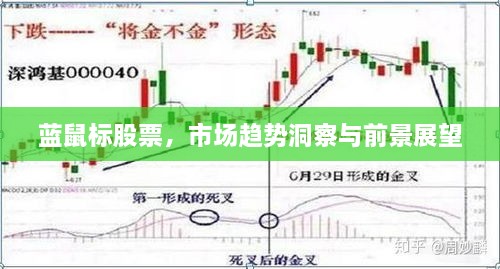 藍鼠標股票，市場趨勢洞察與前景展望