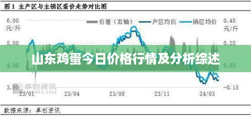 山東雞蛋今日價(jià)格行情及分析綜述