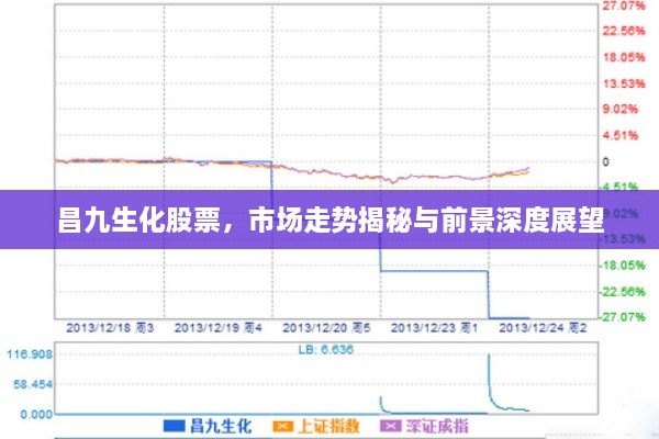 昌九生化股票，市場走勢揭秘與前景深度展望