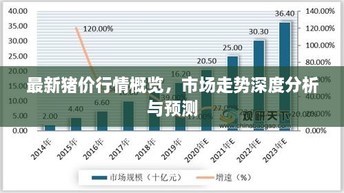 最新豬價(jià)行情概覽，市場走勢深度分析與預(yù)測