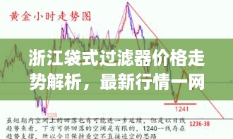 浙江袋式過(guò)濾器價(jià)格走勢(shì)解析，最新行情一網(wǎng)打盡！