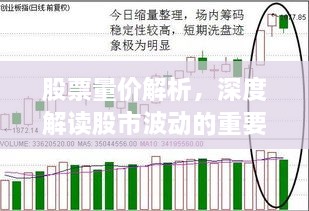 股票量價(jià)解析，深度解讀股市波動(dòng)的重要指標(biāo)！