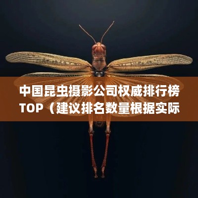 中國昆蟲攝影公司權威排行榜TOP（建議排名數(shù)量根據(jù)實際情況調(diào)整）