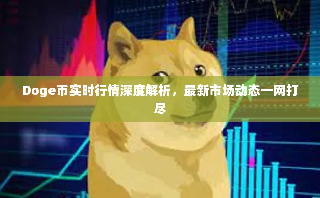 Doge幣實(shí)時(shí)行情深度解析，最新市場動(dòng)態(tài)一網(wǎng)打盡